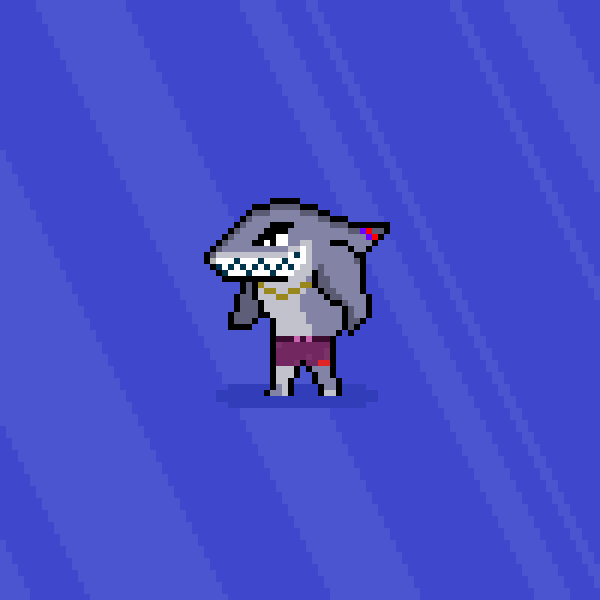 Ton Shark #2684