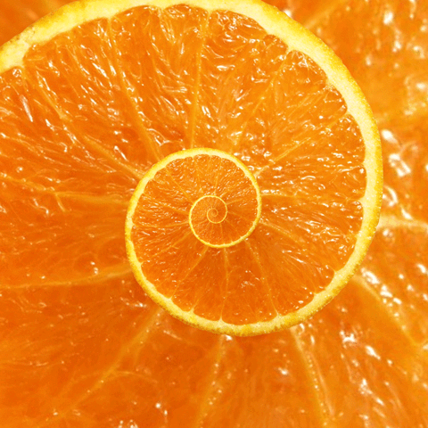 nft