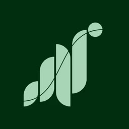 nft